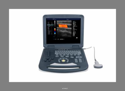 China hospital medical equipment xuzhou shengpu   colorful ultrasound scanner for sale