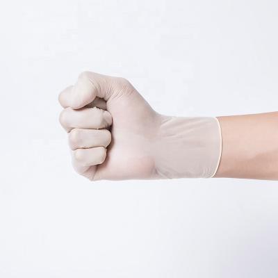 China Powder Free Powder Free Brand Latex Disposable Custom Gloves For Janitor Lab Medical Control Food And Hygiene Tattoo for sale