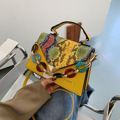 China 2020 new fashion snake portable diagonal lady bags small pattern square bag European and American fashion bags for women for sale