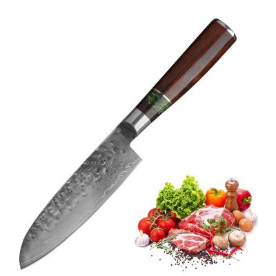 China Amazon Hot Selling Disposable 4 Inch Damascus Paring Knife Kitchen Paring Knife For Vegetable Fruit for sale