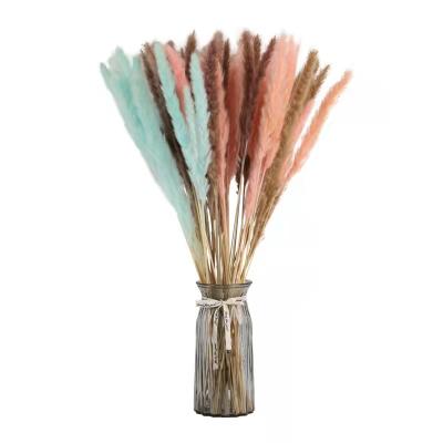 China Home Decoration & Gifts & Decoration The Wedding Crafts Factory Direct Selling Large Flower Reed Grass for sale