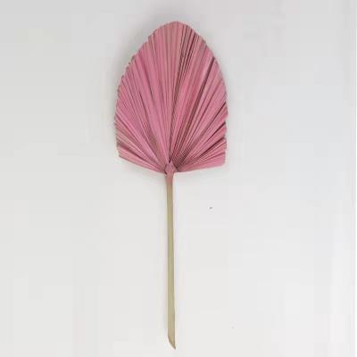 China Home Decoration and Gifts and Crafts Northern European Style Palm Fan Dried Sunflower Leaves Wedding Modeling Home Decoration for sale