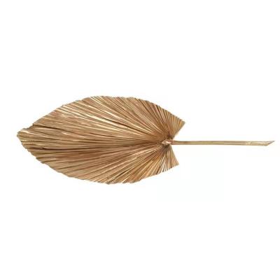 China Home Decoration and Palm Dry Cattail Leaf Fan Good Quality Direct Selling Gifts and Crafts Manufacturers for sale