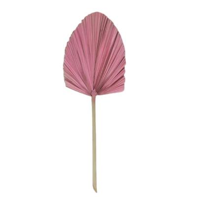 China Cheap home decoration and gifts and crafts price Cattail fan decoration leaves natural dried flower palm leaf for sale