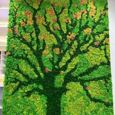 China Minimalist Best Quality Preserved Stabilized Moss Lichen Moss For Home Decoration for sale