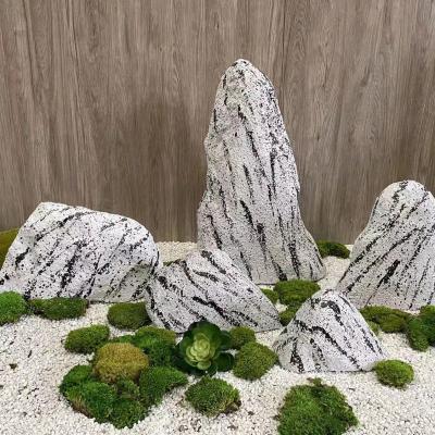 China Wholesale Home Decoration Moss Wall Panel Eco-friendly Preserved Moss For Decoration for sale