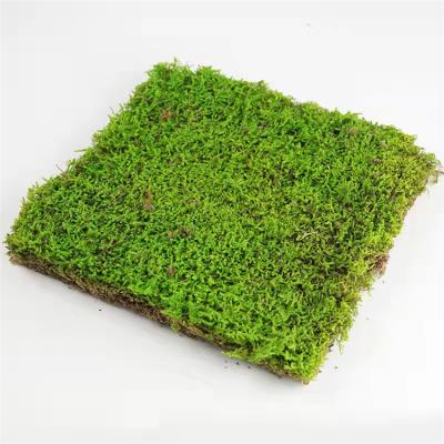 China Factory wholesale high quality home decoration extra fine backdrop wall hedge decoration simulation artificial stone moss for sale