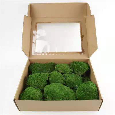 China 2021 Home Decoration Innovative Products Natural Wall Stabilized Moss Ball for sale