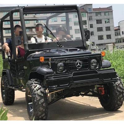 China Sand Buggy Vehicle Adult Go Kart 4 Wheel Electric Car 3000W 60V 128A Off Road Electric Jeep 12