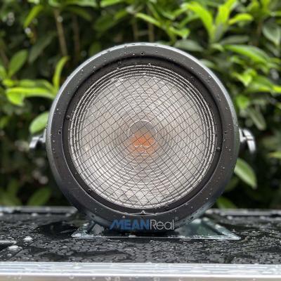 China Meanreal outdoor warm face light waterproof ip65 300w stage wash par lighting for party for sale