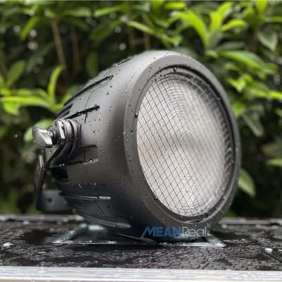 China Stage mini dmx 300W waterproof led par light for outdoor party stage for sale