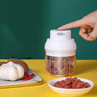 China Portable 250ml Garlic Cutter High Quality Viable Mini Cleaver Multi Function Food Chopper for sale