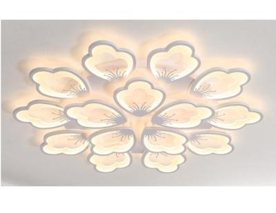 China Simple Design LED Ceiling Lights New Outdoor Mounted Acrylic Lighting for sale