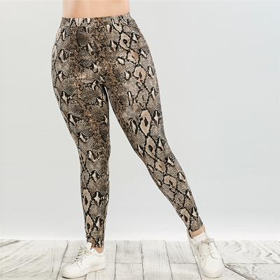 China New Arrivals Plus Dropshipping Autumn Fashion Snake Print Casual Size Leggings Plus Size Women's Pants for sale