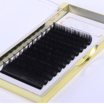 China Super Soft Black Wholesale Eyelash Extension Trays Eyelash Extension Trays Easy Blooming High Quality Eyelash Extension for sale