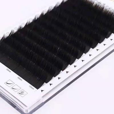 China Natural Black Russian Handmade Russian Fans 0.03mm 0.05mm Long Matte Long Lashes 0.07mm for sale