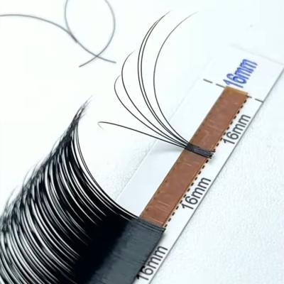 China Long Volume Fans 0.03mm 0.05mm 0.07mm Individual Handmade Mink Eyelash Extension 25mm Natural Russian Eyelash Extensions for sale