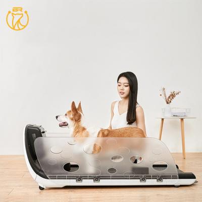 China Viable Smart Treadmill Infrared Walking Dog Running Sensor Machine, Electronic Pet Treadmill For Cats for sale