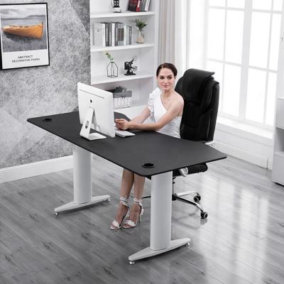 China Ergonomic Furniture Commercial Factory Main Products Sit Stand Height Adjustable Desk for sale