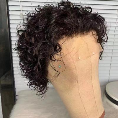 China Jerry Curl Hot Sale Pixie Short Curls Wigs 13x1 Lace Wig Pre Plucked Pixie Curly Wig 100% Natural Hair Color #1B 99J for sale