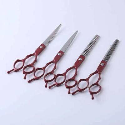 China High Quality Viable In Colors Hair Scissors Set 6.5 Inch Professional Pet Scissors Kit For Grooming School for sale