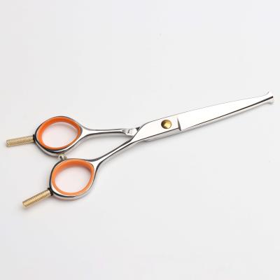 China Hot Viable Pet Grooming Scissors Round 5.5 Inch Tip Safety Stainless Steel Cat Dog Scissors For Grooming for sale