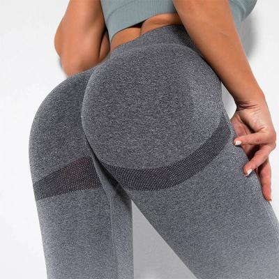 China Custom Logo New Gradient Seamless Breathable Quick Dry crack! crack! running yoga pants peach hip sports breathable tights tights fitness pants for sale