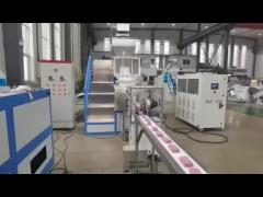 High productivity stainless steel duplex twin worm 1500kg bar soap vacuum plodder extruding machine