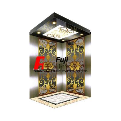 China Small Modern Home Elevator Lift Manufacture By Big Factory for sale