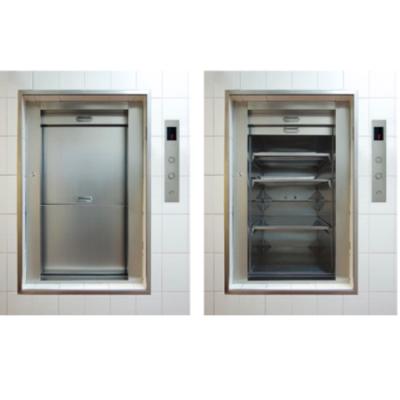 China Modern Rated High Quality Load 250kg China Electric Food Lift Dumbwaiter Lift For Home And Restaurant for sale