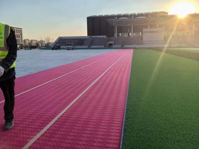 중국 충격 패드 인위 잔디 하층 10mm 축구 베이스볼 하키 럭비 EN15530-4 판매용