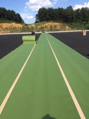 China UV Resistant Sports Construction Artificial grass Shockpad Underlay for sale