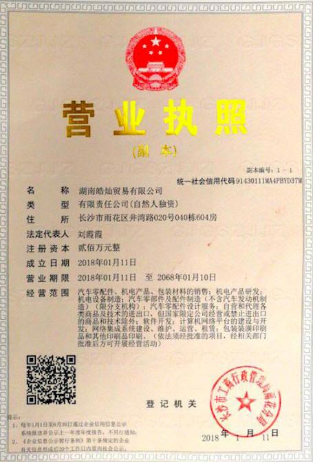 Business Licence - VVDI Technology Co.,LTD