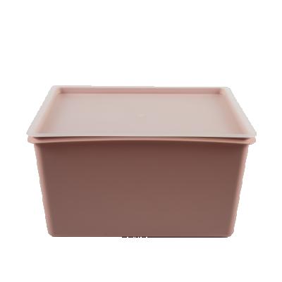 China Multi Colored Sustainable Good Quality Home Purpose Organizer Laundry Organizer Plastic Storage Basket Box for sale