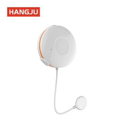 China Water Sensor Tuya Zigbee 3.0 Controlled Smart Water Sensor Detector and Push Notification to Mobile Phone for sale