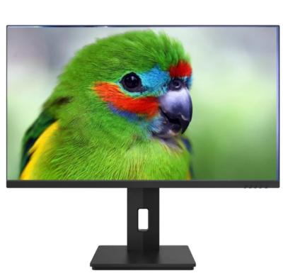 China 24 polegadas de gráficos monitor de computador 1920x1080 PC Monitor de jogos 165hz Com HAS à venda