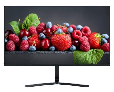 중국 25inch BOE IPS Monitor 360Hz Refresh Rate With USB Type-C 85% NTSC 105%SRGB Color Gamut 12V Adapter 판매용