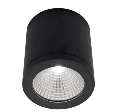 China Modern Flicker Free Integrated Driver IP54 Led Outdoor Mounted LED Downlight for sale