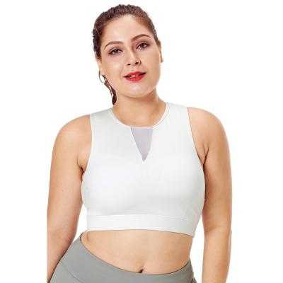 China Black Breathable Gray Mesh Insert High Neck Plus Size Sports Bra for sale