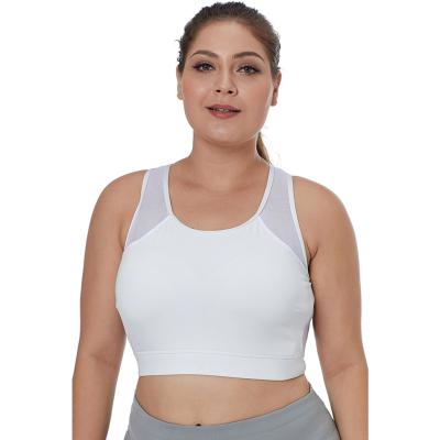 China Wholesale Mesh Back Plus Size Breathable Light Blue Pure Wireless Sports Bra Fitness Wear for sale