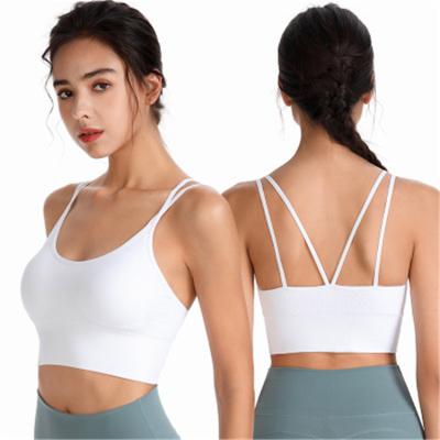 China Factory Wholesale Fitness Top Vests Breathable Gather High Elasticity Ladies Bra for sale