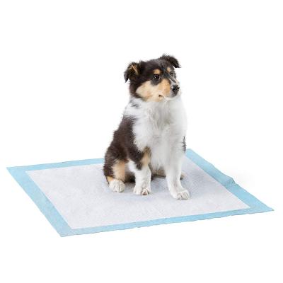 China Dogs Amazon Basics Pet Training Mats Puppy Pads Puppy Dog Pet Training Pee Pads for sale