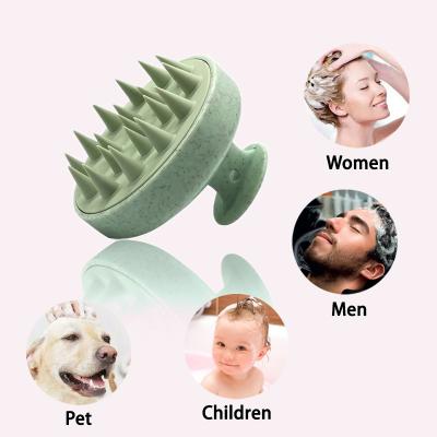 China Portable Scalp Analyzer Multiple Purposes Silicone Hair Brush Scalp Shampoo Massager for sale