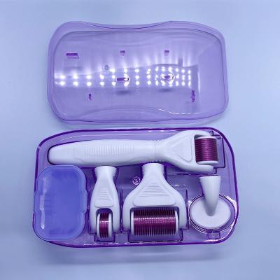 China Anti-Puffiness Top Selling Derma Roller Set 6 in 1 Derma Roller Kit for Skin Rejuvenation for sale