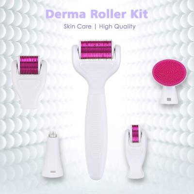 China Anti-Puffiness 6 in 1 System Care Kit Amazon Titanium Microneedle Facial Jade Roller Derma Roller Face Body Skin Set Derma Roller Kit for sale