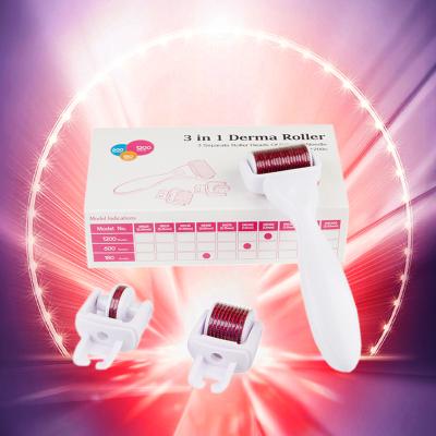 China Anti-Blister Micro Needle System 3 IN 1 Derma Roller Kit With 180 600 1200 Titanium Micro 3 Needle Hair Growth 1 Derma Roller Kit for sale