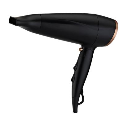 China Ionic Manufacturer Wholesale Portable Electric Foldable Handle Blow Dryer Hang Up Hook Hair Dryer with Concentrator for sale