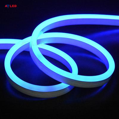 China Office / Hotels / Shopping Malls Waterproof AC 110V 220V IP65 5050 RGB 0816 Dimmable Neon Flexible RGB Led Strip for sale