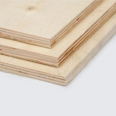 China birch faced plywood 3-28mm poplar/eucalyptus core plywood uv coading plywood for furniture/construction for sale