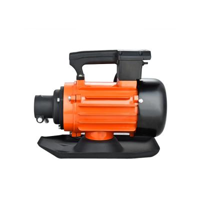 China Construction Industry 100%Copper Wire ZN-100 Series Electric Vibrator Motor High Quality Three Phase Electric Concrete Vibrator Portable Motor for sale